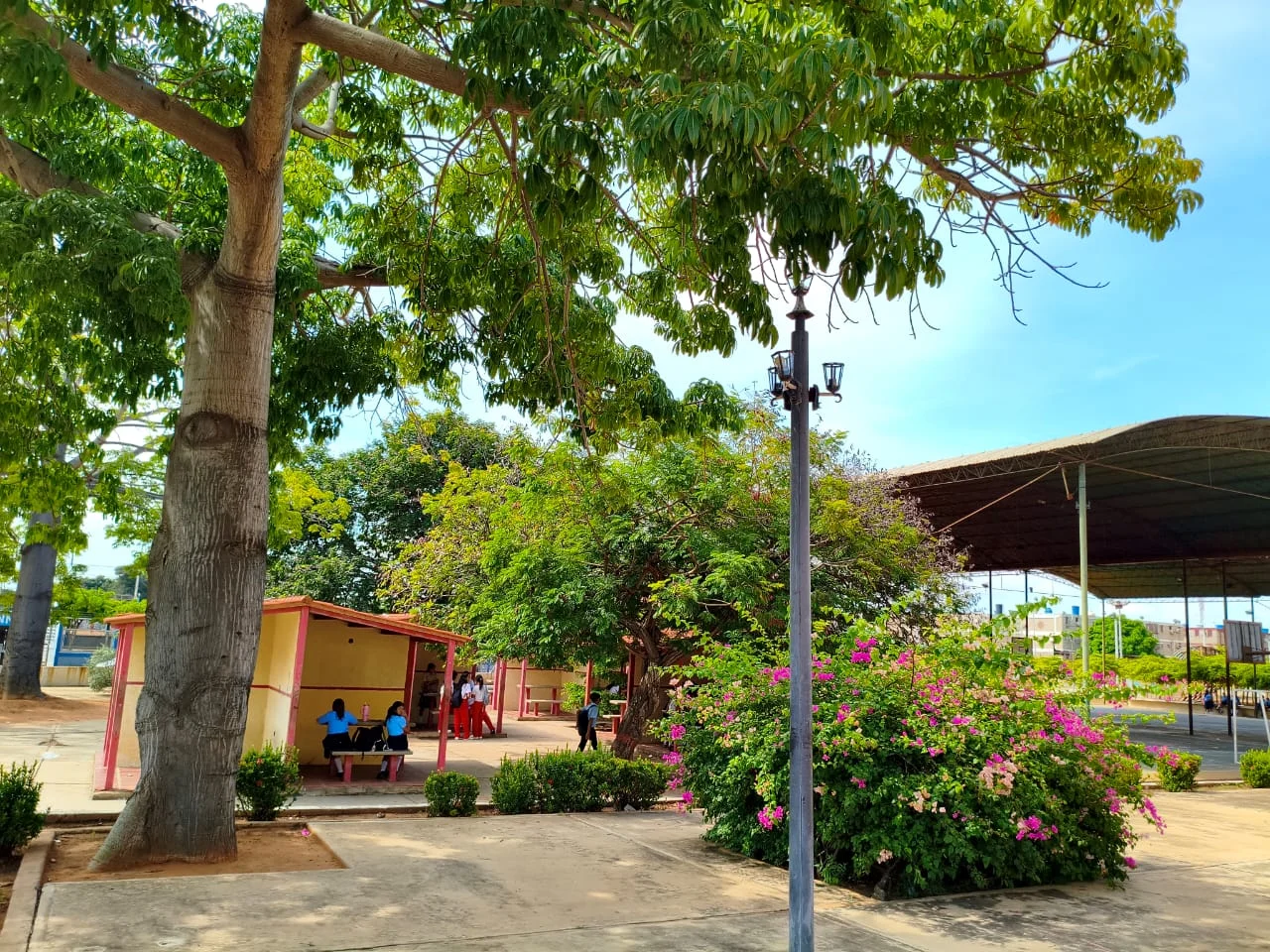 deportes